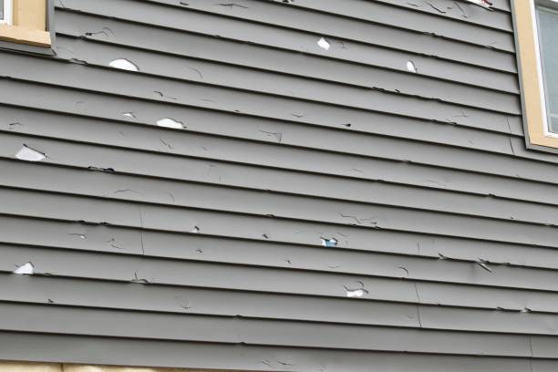 Best Residential Vinyl Siding Installation  in Nikiski, AK